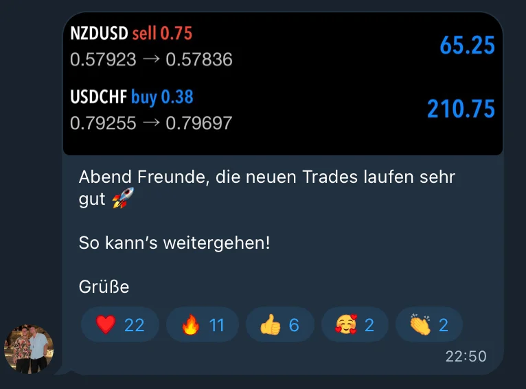 Trading Ergebnis $210